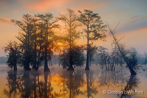 Lake Martin Sunrise_45810.jpg - Photographed near Breaux Bridge, Louisiana, USA.